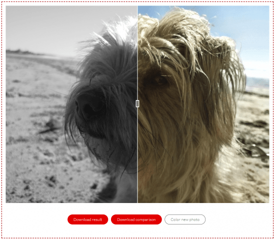 Imagen - C&oacute;mo colorear fotos en blanco y negro