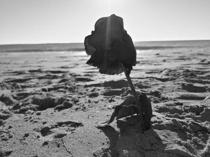 Imagen - C&oacute;mo colorear fotos en blanco y negro