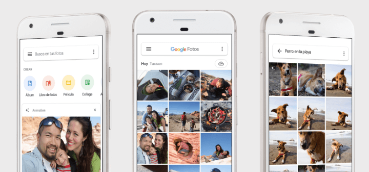 Imagen - Descarga Galer&iacute;a de fotos para tu m&oacute;vil