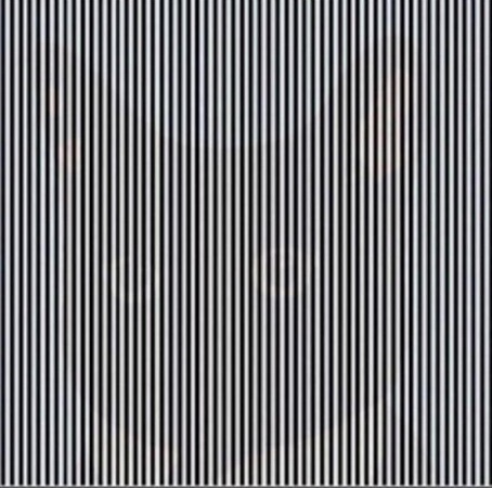 Imagen - 20 mejores ilusiones ópticas de todo Internet