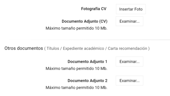 Imagen - Cómo enviar online el curriculum vitae a Lidl