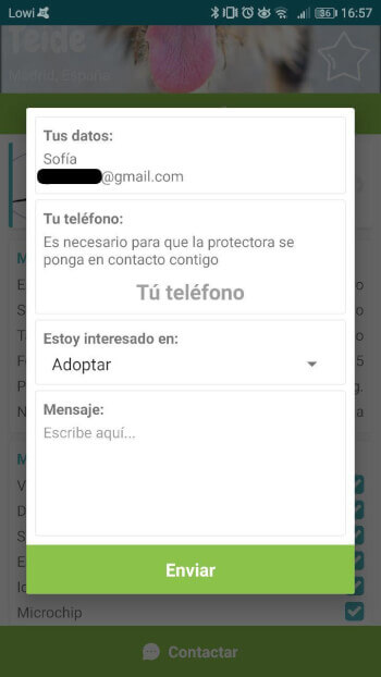 Imagen - Miwuki, el Tinder para adoptar perros y gatos
