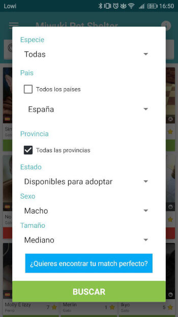 Imagen - Miwuki, el Tinder para adoptar perros y gatos