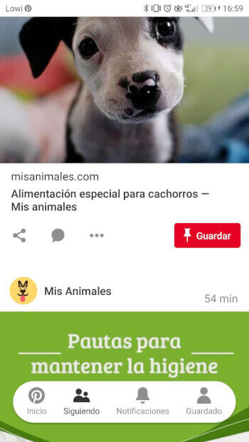 Imagen - ¿Qué es y para qué sirve Pinterest?