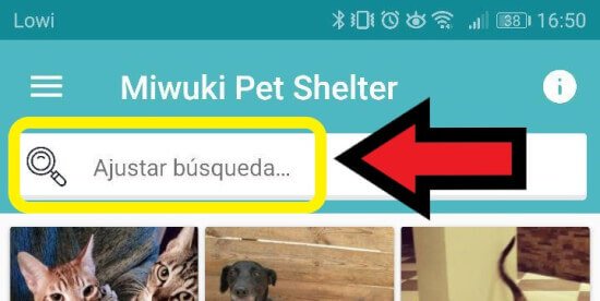 Imagen - Miwuki, el Tinder para adoptar perros y gatos