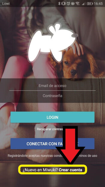 Imagen - Miwuki, el Tinder para adoptar perros y gatos