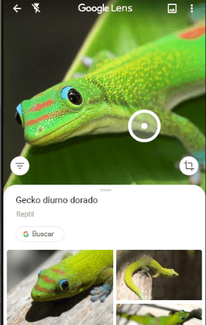Imagen - Todas las funciones de Google Lens