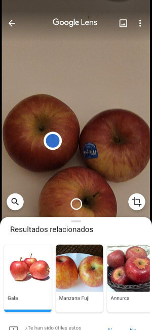 Imagen - Todas las funciones de Google Lens