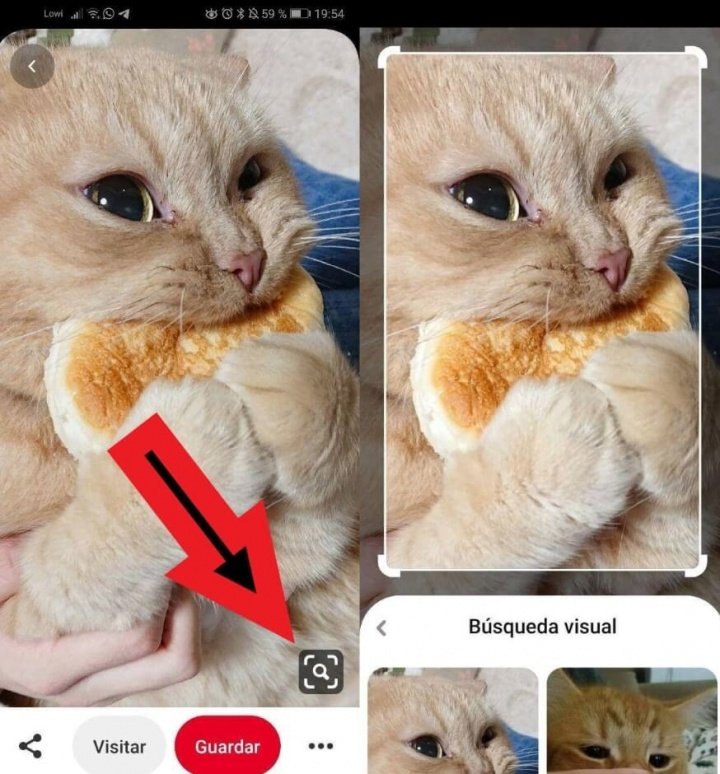 Imagen - ¿Qué es y para qué sirve Pinterest?