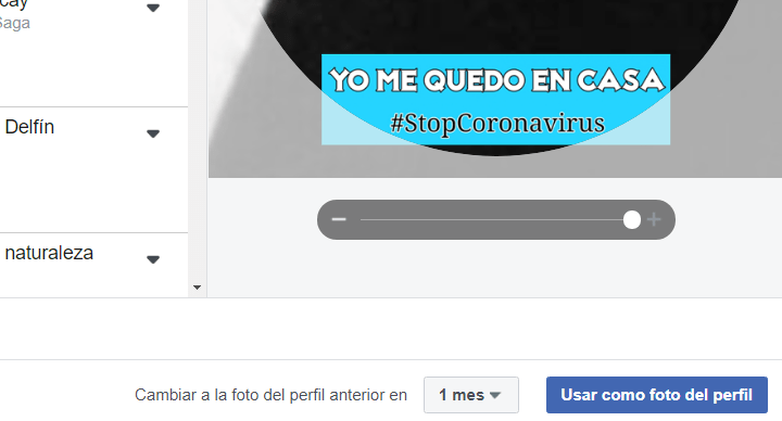 Imagen - C&oacute;mo poner #yomequedoencasa en tu foto de Facebook