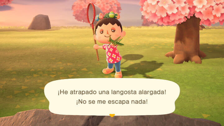 Imagen - Bichos en Animal Crossing: New Horizons