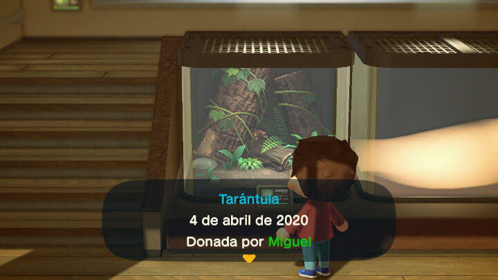 Imagen - Cómo ganar bayas rápido en Animal Crossing: New Horizons