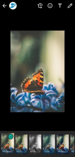 Imagen - Filtros WhatsApp: c&oacute;mo ponerlos a im&aacute;genes