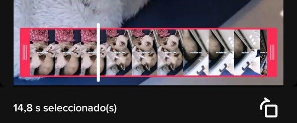 Imagen - Cómo usar un vídeo como fondo en TikTok