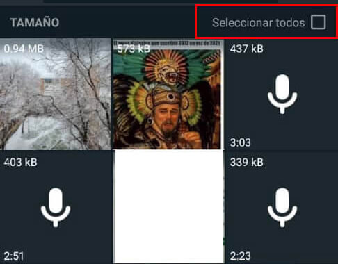 Imagen - Cómo borrar automáticamente archivos de WhatsApp