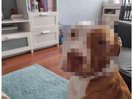 Imagen - Cómo pixelar las imágenes antes de enviarlas por WhatsApp