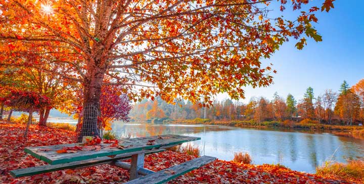 Imagen - 8 trucos para hacer buenas fotos en otoño con tu móvil