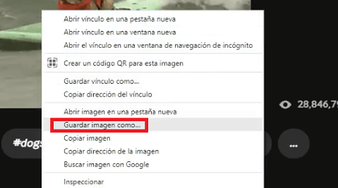 Imagen - Cómo descargar un GIF de Giphy