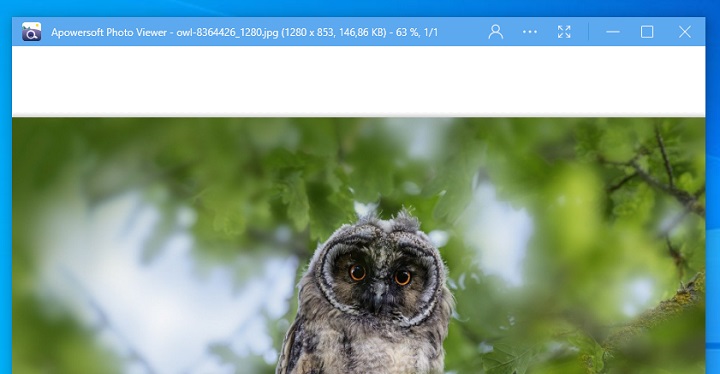 Imagen - 6 mejores aplicaciones gratis para ver fotos en Windows 10