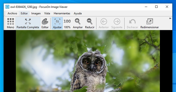 Imagen - 6 mejores aplicaciones gratis para ver fotos en Windows 10