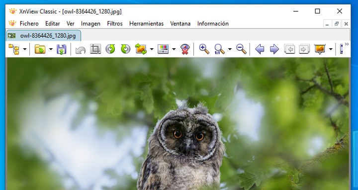 Imagen - 6 mejores aplicaciones gratis para ver fotos en Windows 10