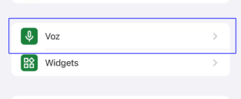 Imagen - Cómo configurar Ok Google en iOS