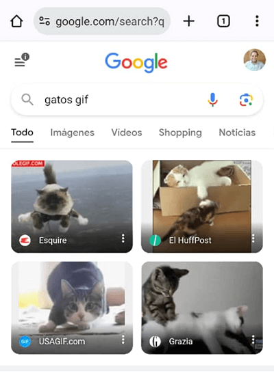 Imagen - Cómo enviar GIFs en WhatsApp