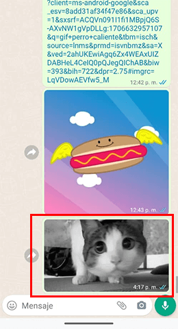 Imagen - Cómo enviar GIFs en WhatsApp