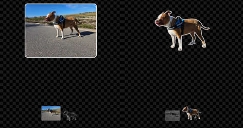 Imagen - Cómo crear tus propios stickers para WhatsApp
