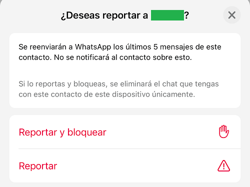 Imagen - ¿Qué es reportar en WhatsApp?