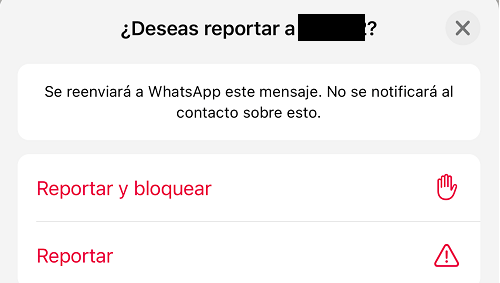 Imagen - ¿Qué es reportar en WhatsApp?
