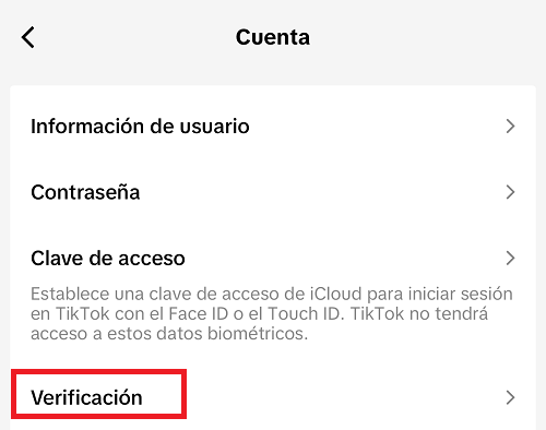 Imagen - Cómo conseguir la verificación en TikTok