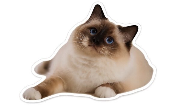 Imagen - Cómo crear stickers de WhatsApp con ChatGPT