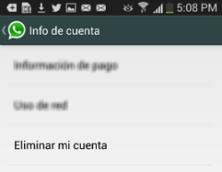 Imagen - Eliminar cuenta de WhatsApp