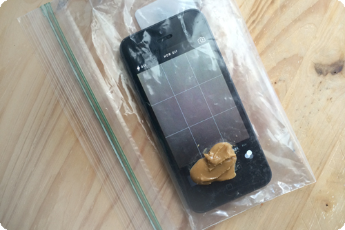 Imagen - C&oacute;mo ense&ntilde;ar a tu perro a tomar una selfie