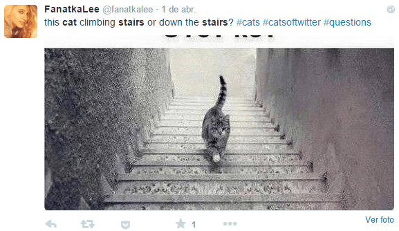 Imagen - El nuevo viral tras #TheDress: ¿El gato sube o baja las escaleras?