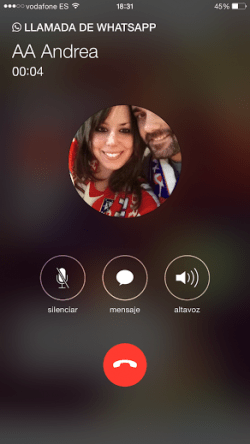 Imagen - Las llamadas de WhatsApp ya disponibles en iPhone: ¡te activamos las llamadas VoIP!