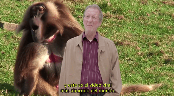 Imagen - "El viral m&aacute;s aburrido del mundo", salvo que lo entiendas