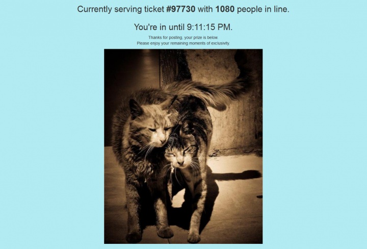 Imagen - La exclusiva p&aacute;gina web que hay que hacer cola para entrar