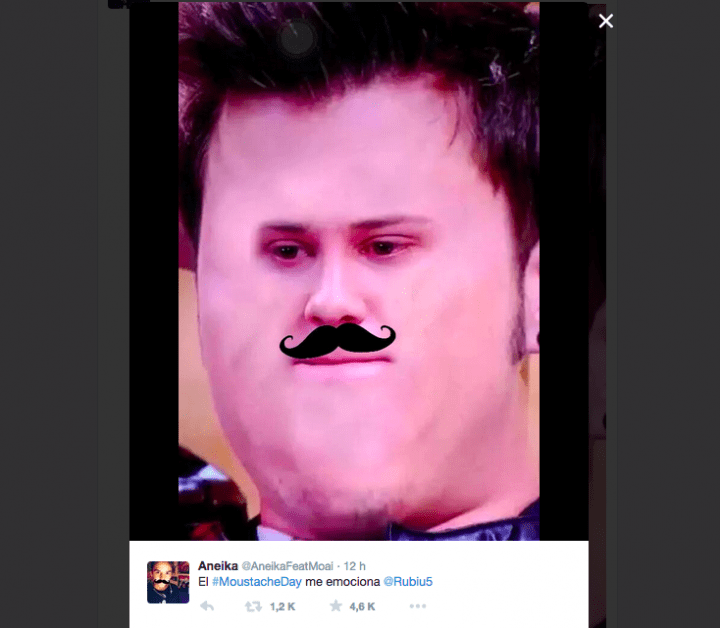Imagen - #MoustacheDay, el nuevo hashtag viral creado por elrubius
