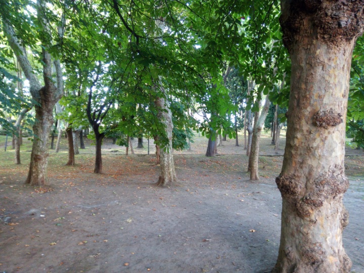 Imagen - Review: Cubot X15, un smartphone chino con acabados de lujo