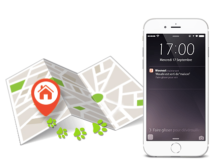 Imagen - Weenect Cats, llama a tu gato cuando se escape