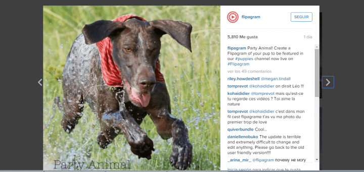 Imagen - Flipagram, crea v&iacute;deos con tus fotos de Instagram
