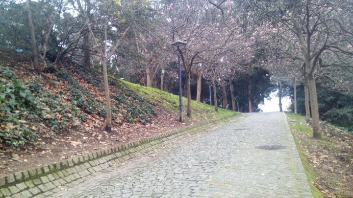 Imagen - Review: Holds K3, un smartphone de 100 euros realmente completo