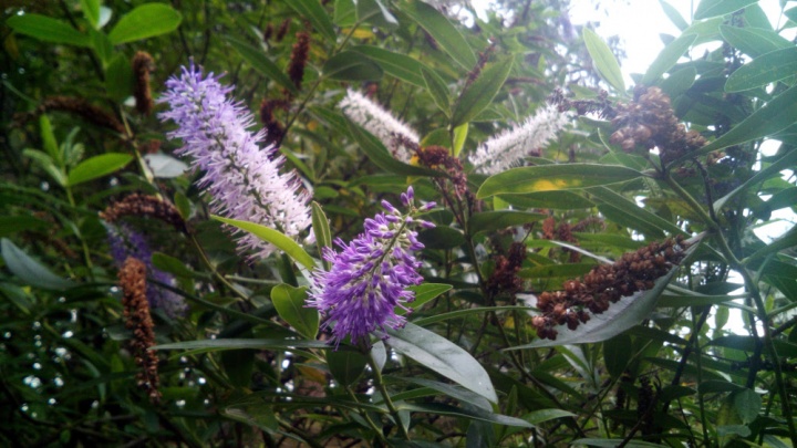 Imagen - Review: Holds K3, un smartphone de 100 euros realmente completo