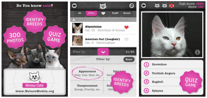 Imagen - 5 apps para los amantes de los gatos