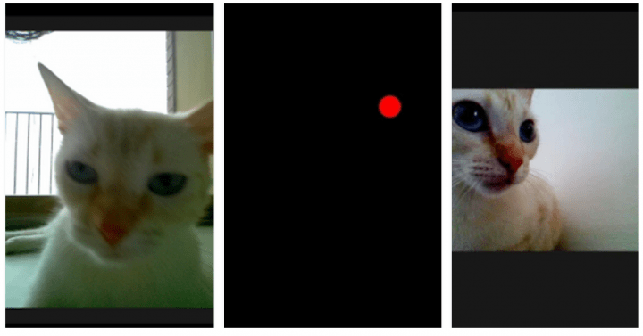 Imagen - 5 apps para los amantes de los gatos