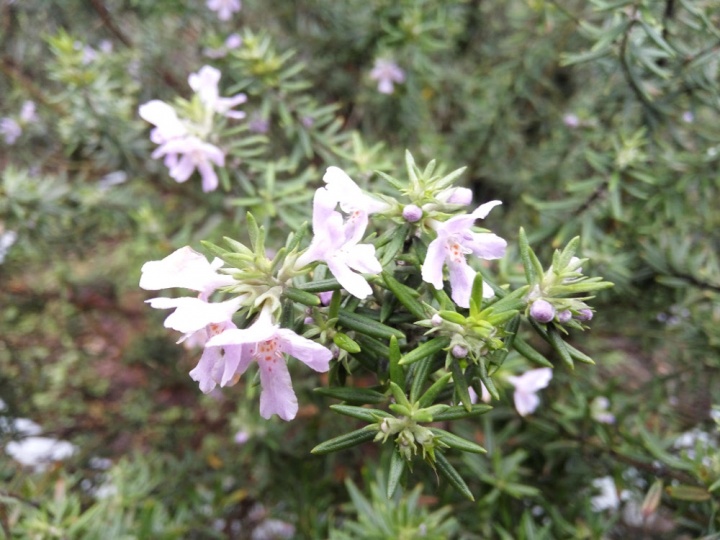 Imagen - Review: Xiaomi Redmi Note 3, el nuevo rey de la gama media china