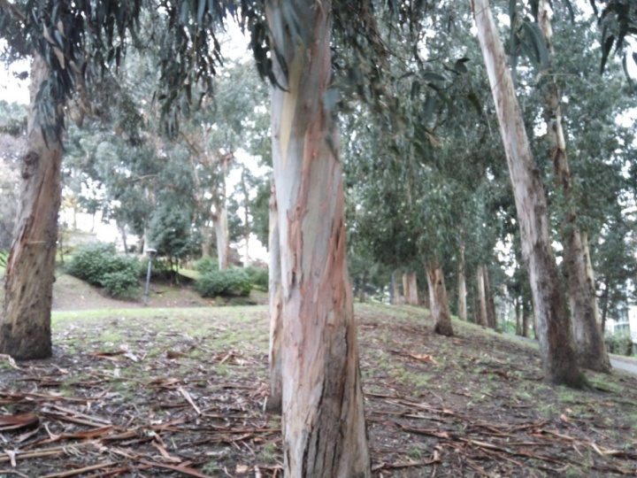 Imagen - Review: Xiaomi Redmi Note 3, el nuevo rey de la gama media china