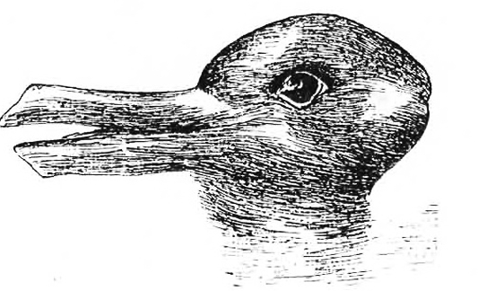 Imagen - ¿Es un pato o un conejo? El último viral de Facebook